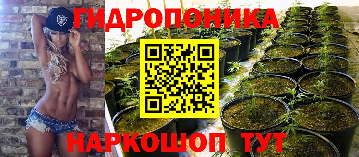 Ессентуки  Бошки Шишки сатива  МАРИХУАНА MAZAR  Вход с VPN  Шишки марихуана план 